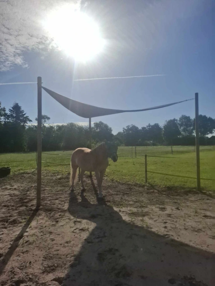 Schaduwdoek paard