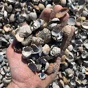 Handje klei schelpen de vier keien big bag.webp