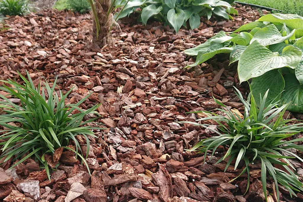 Frans boomschors in tuin de vier keien bigbag.webp