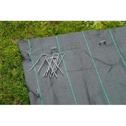 grondpennen de vier keien.webp