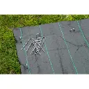 grondpennen de vier keien.webp