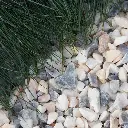 flamingo grind met gras de vier keien.webp