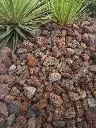 lava met planten 16-32 de vier keien bigbag.webp