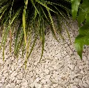 Jura aangelegd de vier keien.webp