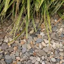 grindinaanlegdevierkeien416.webp