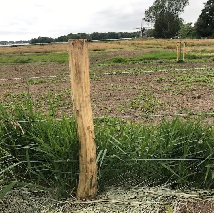 Kastanjepaal 12-14 de vier keien.webp