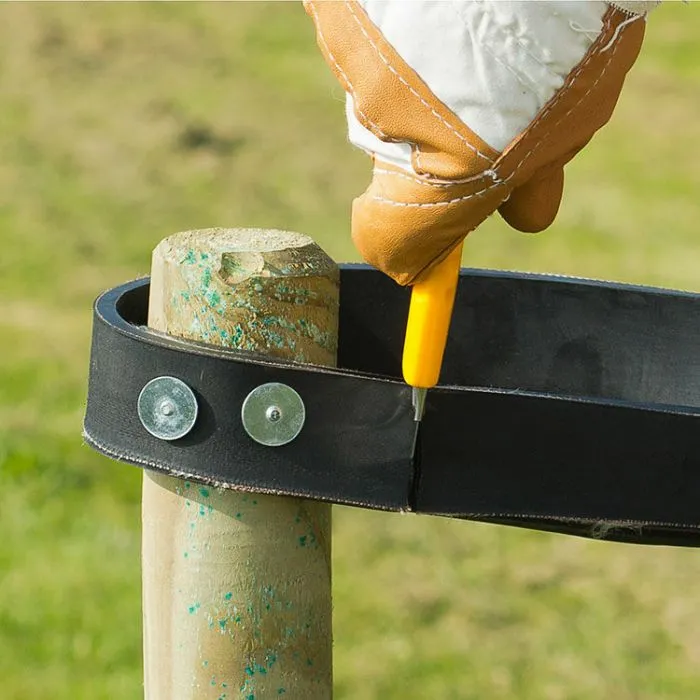 Boomnagel de vier keien.webp