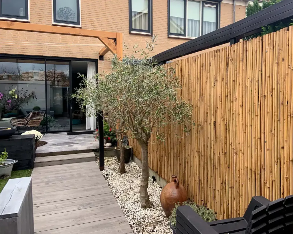 bamboe in de tuin voorbeeld.webp
