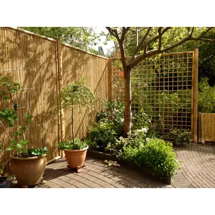 tuinscherm bamboe.webp