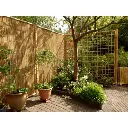 tuinscherm bamboe.webp