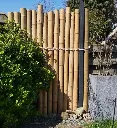 bamboo scheiding de vier keien bamboe.webp