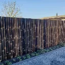bamboepaal black.webp