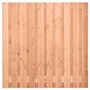 Tuinscherm Zwarte woud Douglas 21 (19 + 2) planks