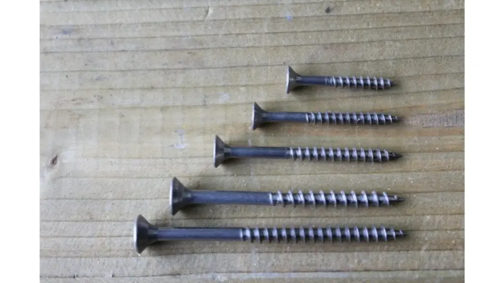 Schroef RVS (per stuk)