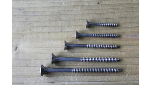 Schroef RVS (per stuk)